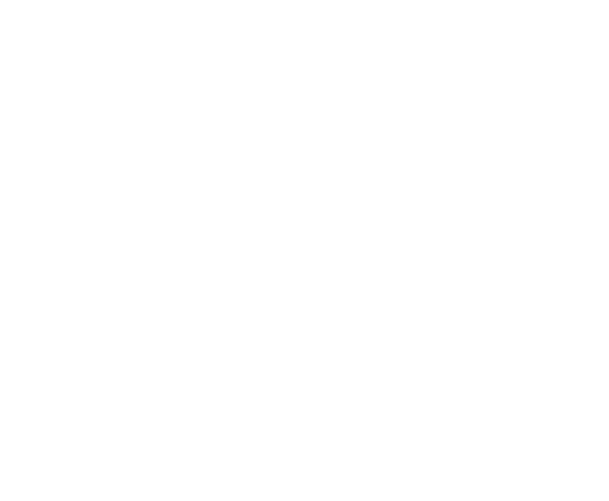 ROBOT SPACE DOG
